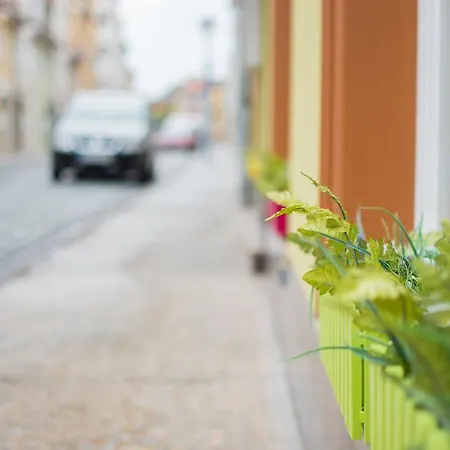 Pensión Regina - Inh. Monique Kluge 3*