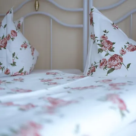 Pensión Regina - Inh. Monique Kluge