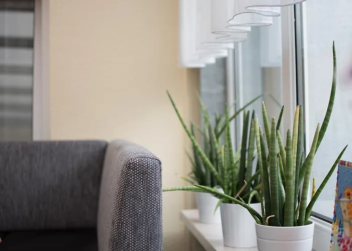 Regina - Inh. Monique Kluge Gasthuis