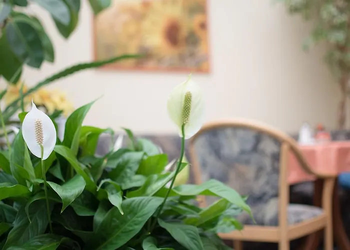 Regina - Inh. Monique Kluge 3* Gotha